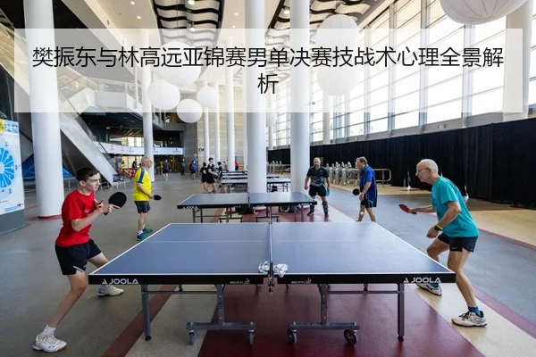 樊振东与林高远亚锦赛男单决赛技战术心理全景解析